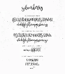 Silverberry - Dry Ink Font