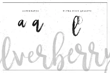 Silverberry - Dry Ink Font