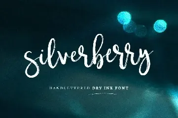 Silverberry - Dry Ink Font