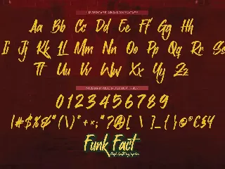 Funk Fact - Simple Graffiti Tag Typeface font