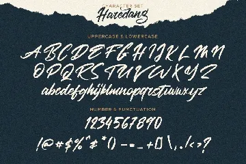 Haredang - Bold Script Font