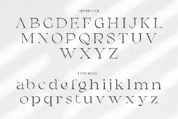 Chanceux Modern Stylish Serif font