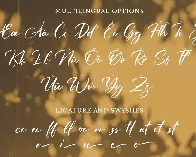 Massillo - Signature Font