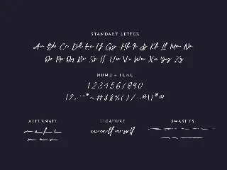 Seven Day Signature Font