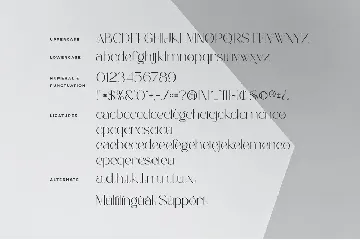 Bagelan - Modern Ligature Font