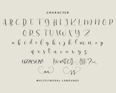 Rashany Modern Script Font