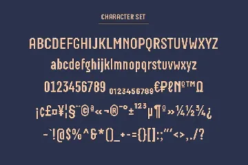 Boscha Condensed Display Sans Font