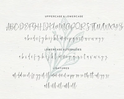 Watercoral font