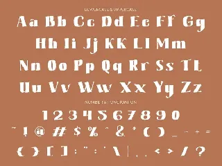 Lilard - Elegant Serif Font