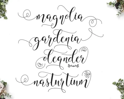 Willshering Script font
