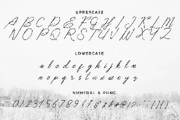 Dear Elisa font