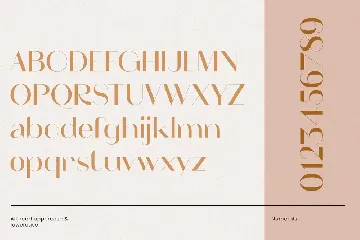 Dreamy Wedding Font Duo