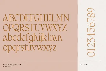 Dreamy Wedding Font Duo