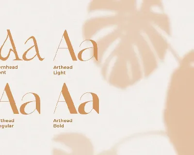 Dreamy Wedding Font Duo