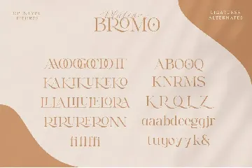 Bromo Plateau Font Duo