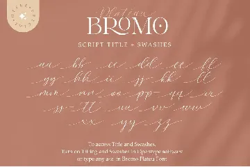 Bromo Plateau Font Duo