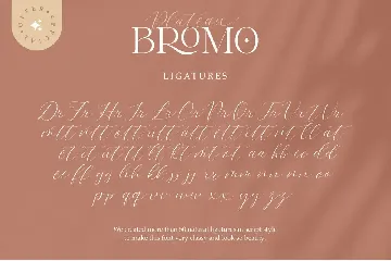 Bromo Plateau Font Duo