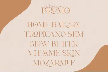 Bromo Plateau Font Duo