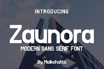 Zaunora - Modern Sans Serif Font