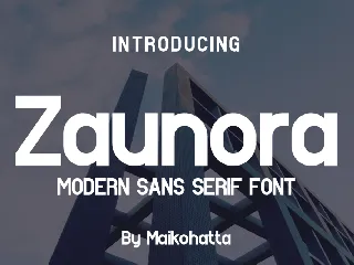 Zaunora - Modern Sans Serif Font