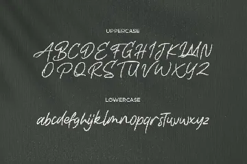 Life Rolling - Handwritten Script Font