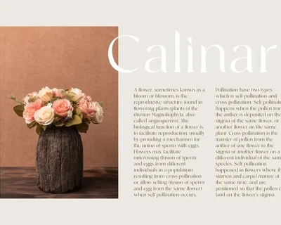 Runalto - Luxury Serif Font