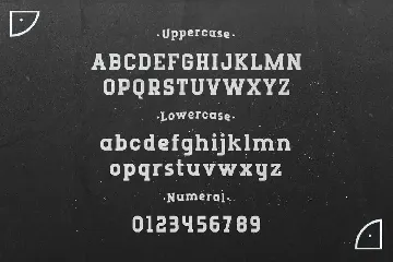 Runboy - Sport Slab Serif font