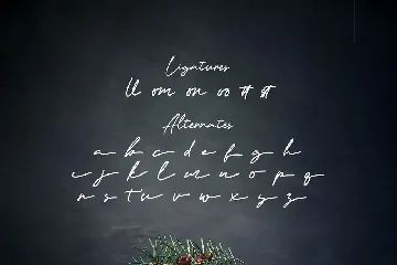 Artemay Bright - Signature Script Font