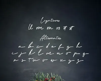 Artemay Bright - Signature Script Font