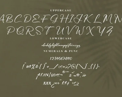 Greeting Yesterday Modern Script Font