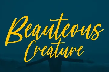 Whytespark Signature Script Font