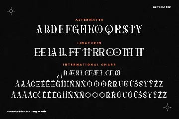 Gothicha Sans Business Font