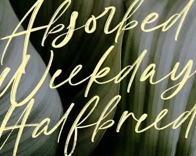 Odorless - Natural Handwriting Font