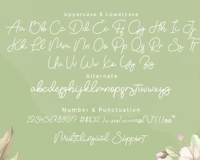 Vemina Handwritten Monoline Script font