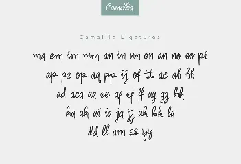 Camellia Handwritten Font