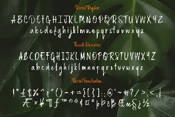 Russell Brush Script Font
