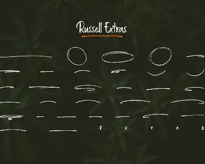 Russell Brush Script Font