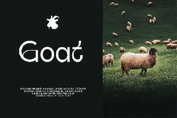 Qalifah | Modern Sans Serif font