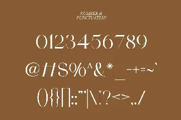 Blacke Brown | Modern Stylish font