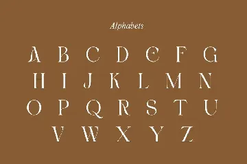 Blacke Brown | Modern Stylish font