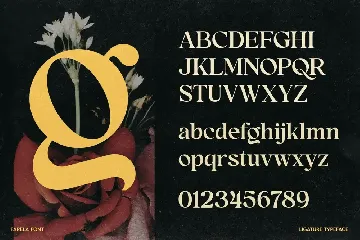 Farela font