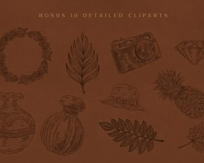 Sweetland Script & Extras font