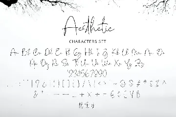 Aesthetic font