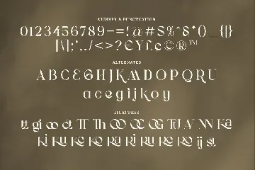 Koolegant Elegant Serif font