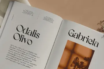 Koolegant Elegant Serif font