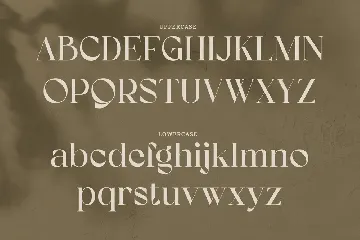 Koolegant Elegant Serif font