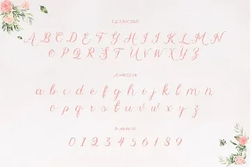 Abilane - Elegant Calligraphic font