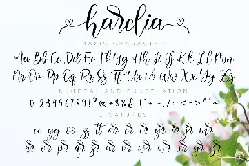 Harelia - Lovely Script Font