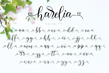 Harelia - Lovely Script Font