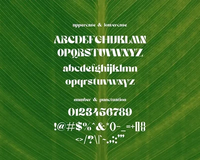 Richieschichue - Decorative Font